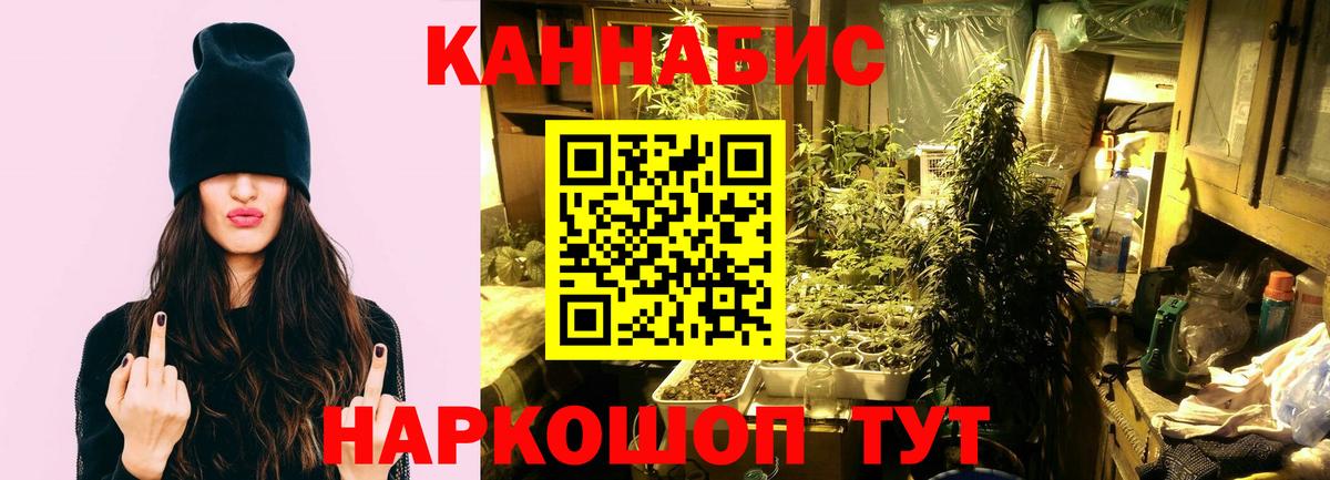 Шишки марихуана Bruce Banner Тихорецк